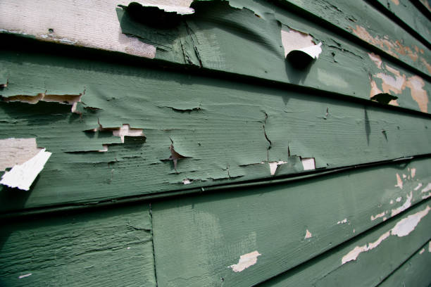 Best Shed Removal  in Byram, MS